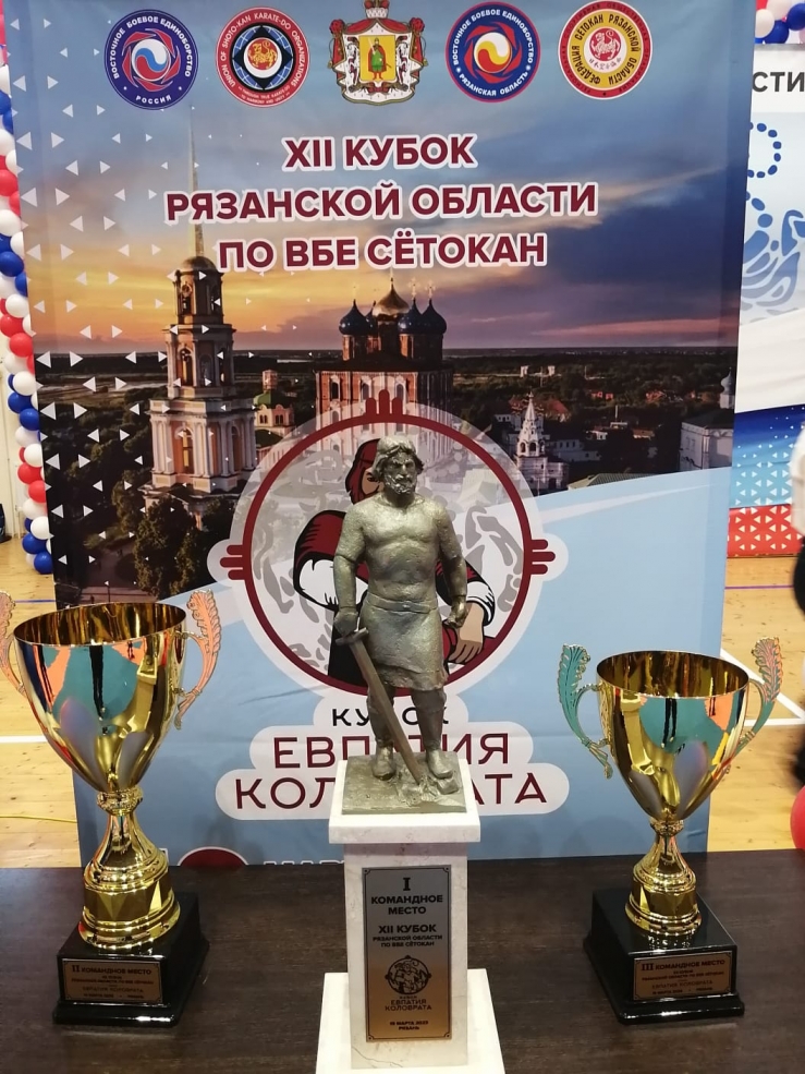 Участие спортсменов ГАУ ДО РО 